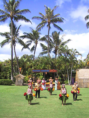 Hula Show
