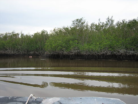 Fotos Fluss | 