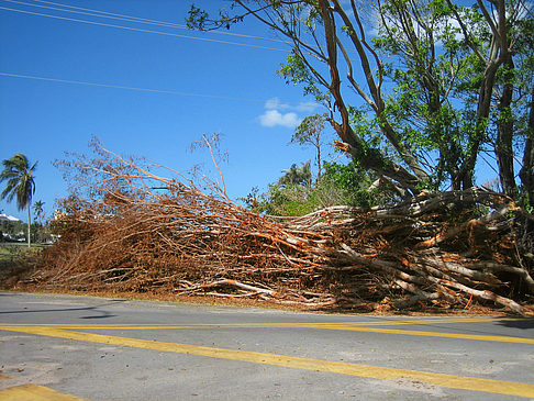 Fotos Straßenrand | 