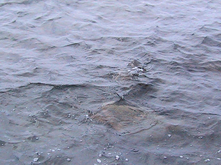 Erstarrte Lava Fotos