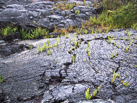 Foto Erstarrte Lava - 