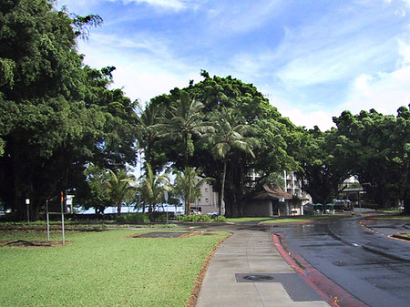 Hawaiis Straßenränder