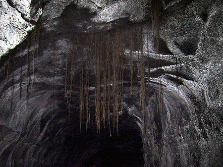 Foto Höhlen in Hawaiis Wäldern