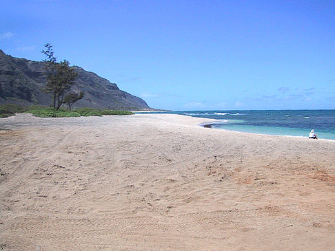 Die Strände von Oahou Fotos