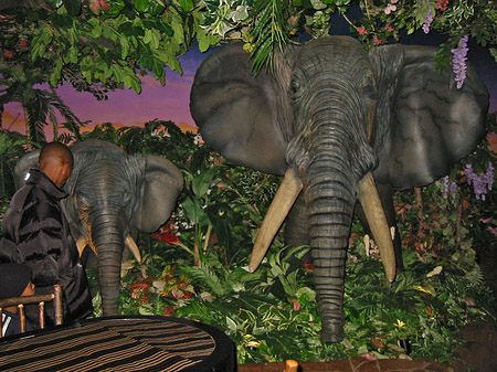 Fotos Fishermans Pier 39 bis 45