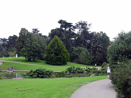 Foto Golden Gate Park mit Botanischen Garten