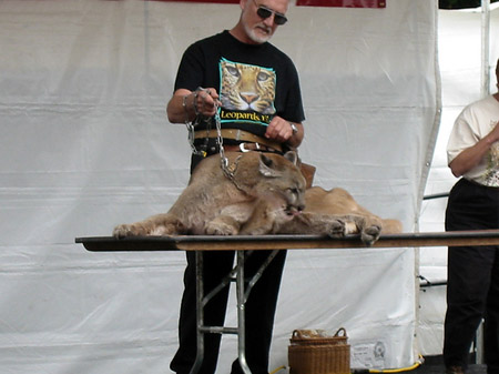 Fotos Golden Gate Park mit Botanischen Garten