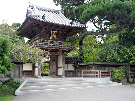 Fotos Golden Gate Park mit Botanischen Garten