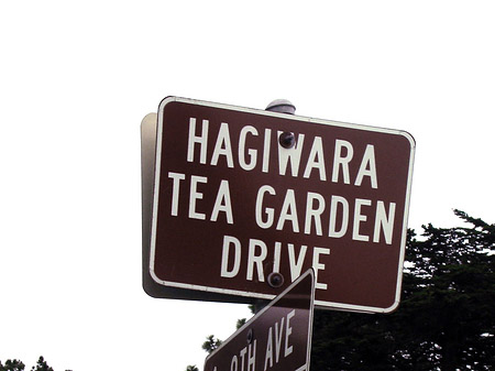 Fotos Golden Gate Park mit Botanischen Garten | San Francisco