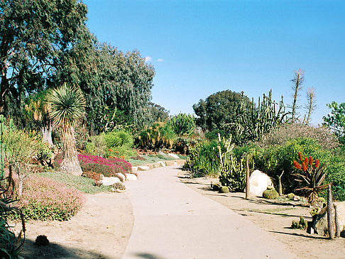 Foto Balboa Park - San Diego
